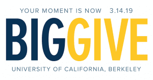 Cal Big Give 2019 logo