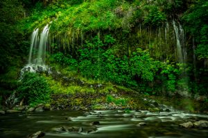 A tree line and railroad tracks protect this hidden waterfall’s secret. Mossbrae Falls encapsulates you in a calming aura with it’s gently flowing water that surrounds the whole viewpoint.