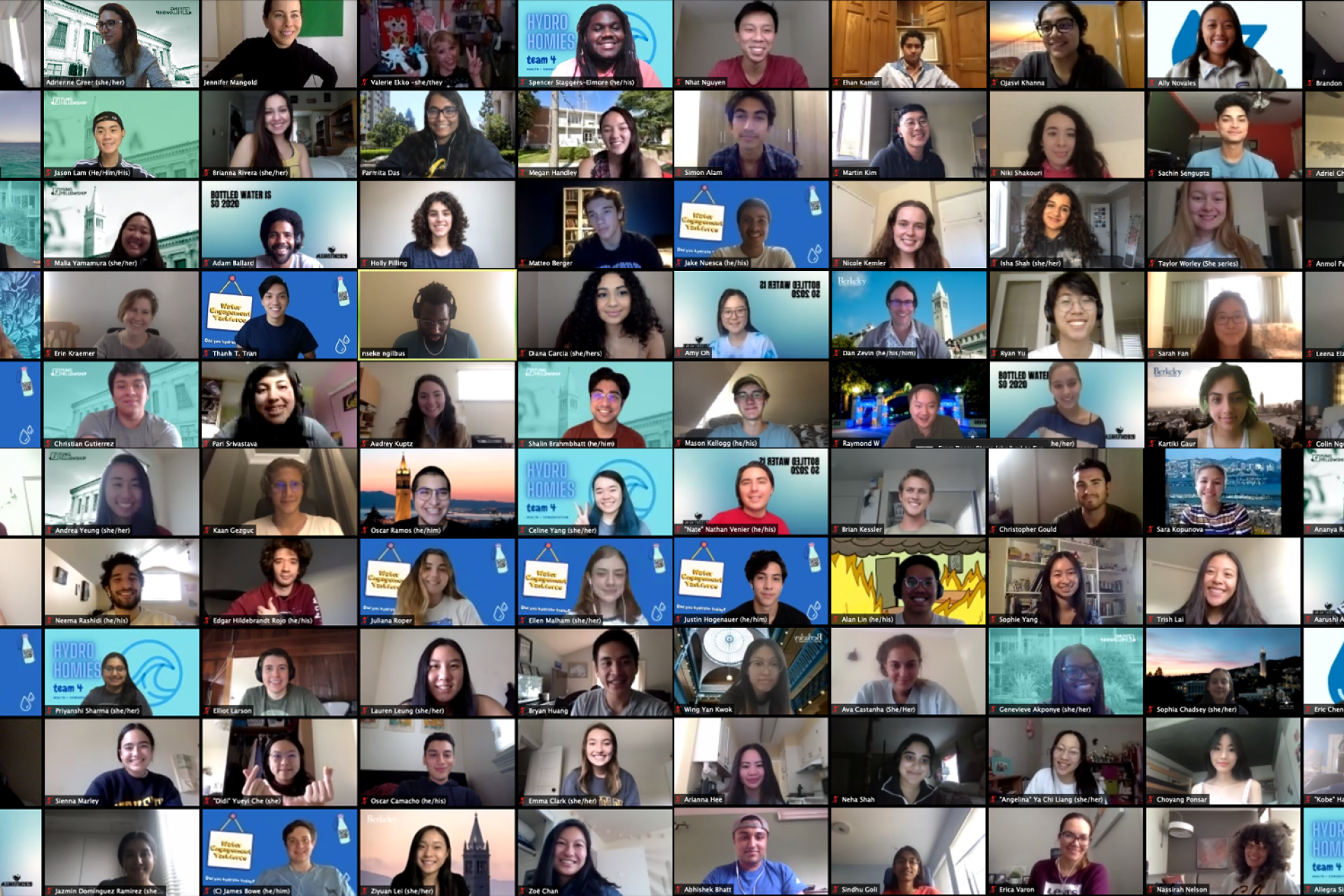 Collage of zoom screenshots showing all the first-year fellows.