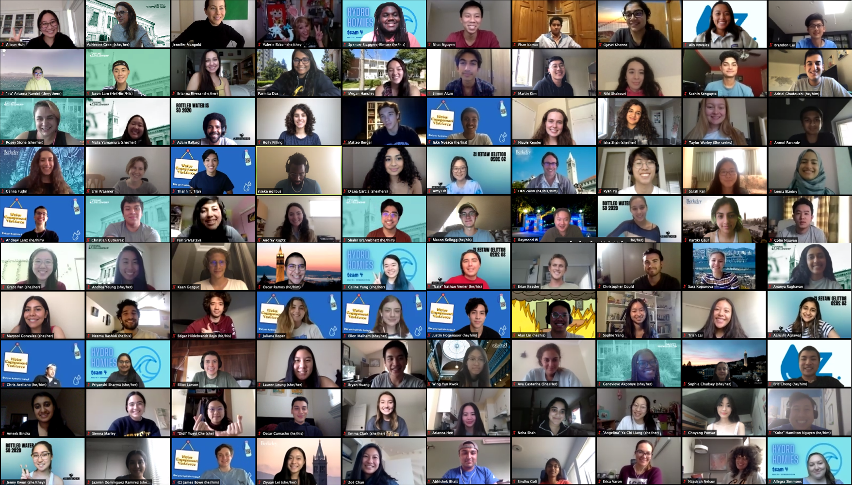 Collage of zoom screenshots showing all the first-year fellows.
